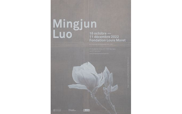 Visite commentée de l’exposition de Mme LUO Mingjun